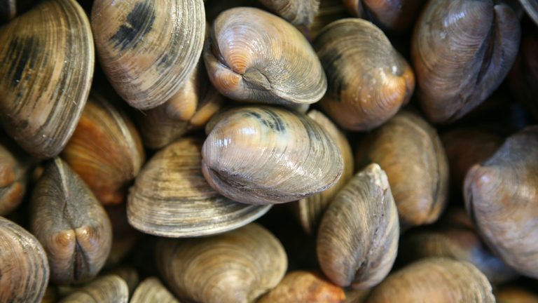 Avoid Overbaking Your Clams: Perfect Timing Tips