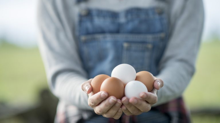 The Best Ways to Store Fresh Farm Eggs