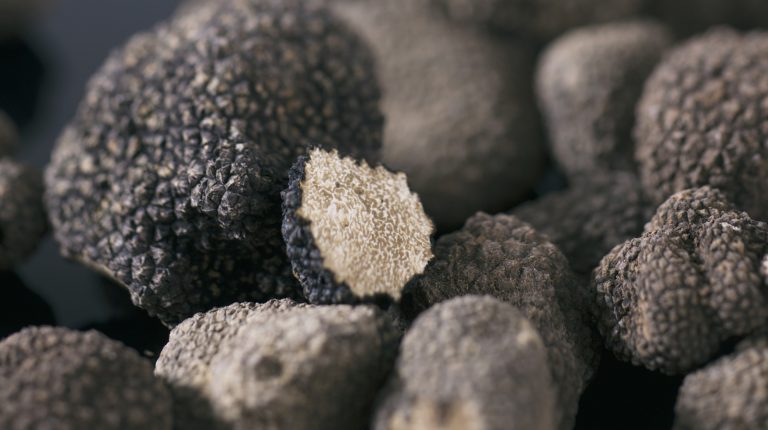 Why You Might Want to Skip Truffle Dishes at Most Restaurants