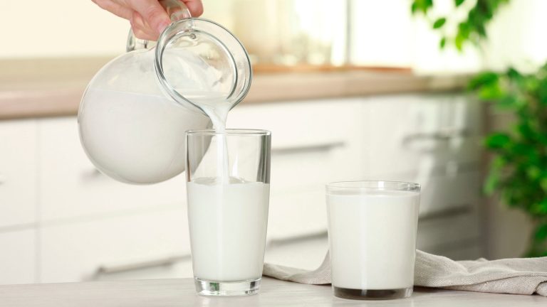 Understanding the Distinction Between Cream and Milk