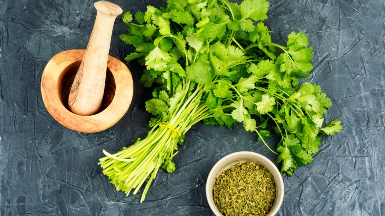 Coriander vs. Cilantro: Understanding the Difference