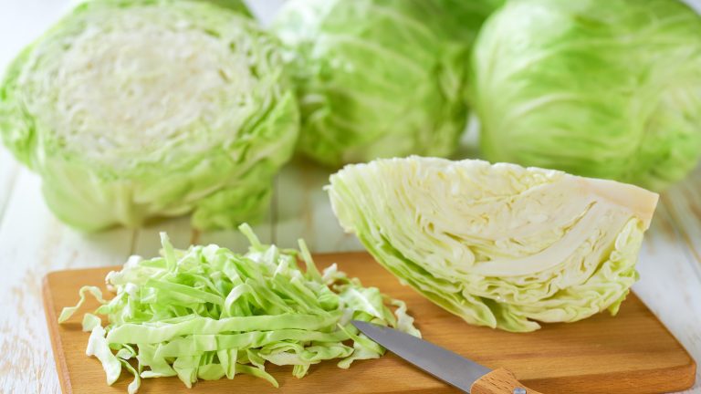 Does Cabbage Contain a Lot of Protein?