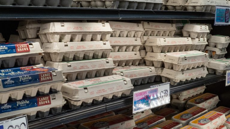 Apparently, Some Trader Joe's Eggs Can Be Hatched Into Chicks