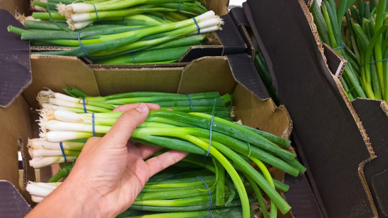 Chives, Green Onions, and Scallions: Understanding the Differences