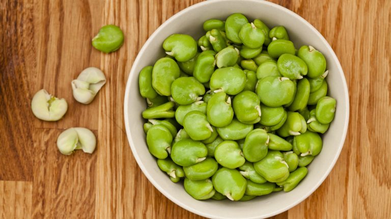 Is It Really Necessary to Peel Fava Beans?