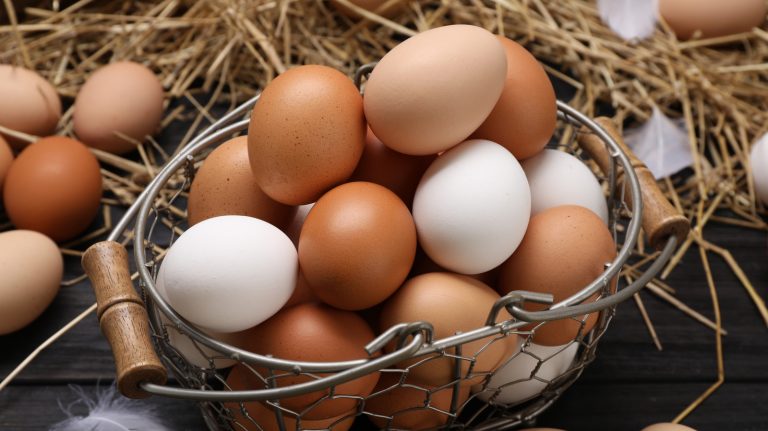 Is It Cheaper to Buy Eggs or Live Chickens?