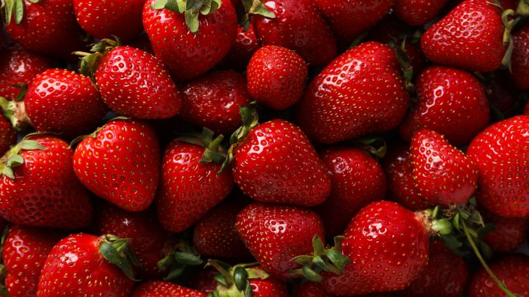The Optimal Temperature for Storing Strawberries and Preserving Their Quality