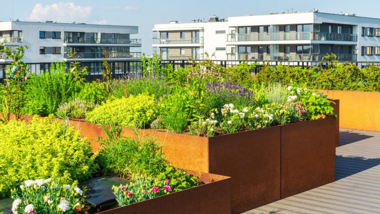 15 Simple Herbs to Cultivate in Your Garden This Summer