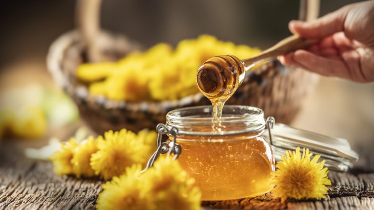 How to Use Honey as a Natural Fertilizer in Your Garden